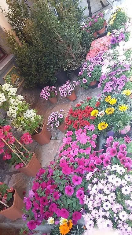 Taormina Rainbow House Apartment Italy